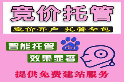 竞价开户策略解析：实战案例分享